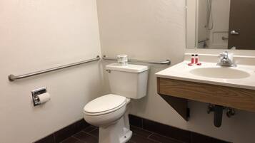 A bathroom with a toilet, a handrail, a sink, and a mirror.