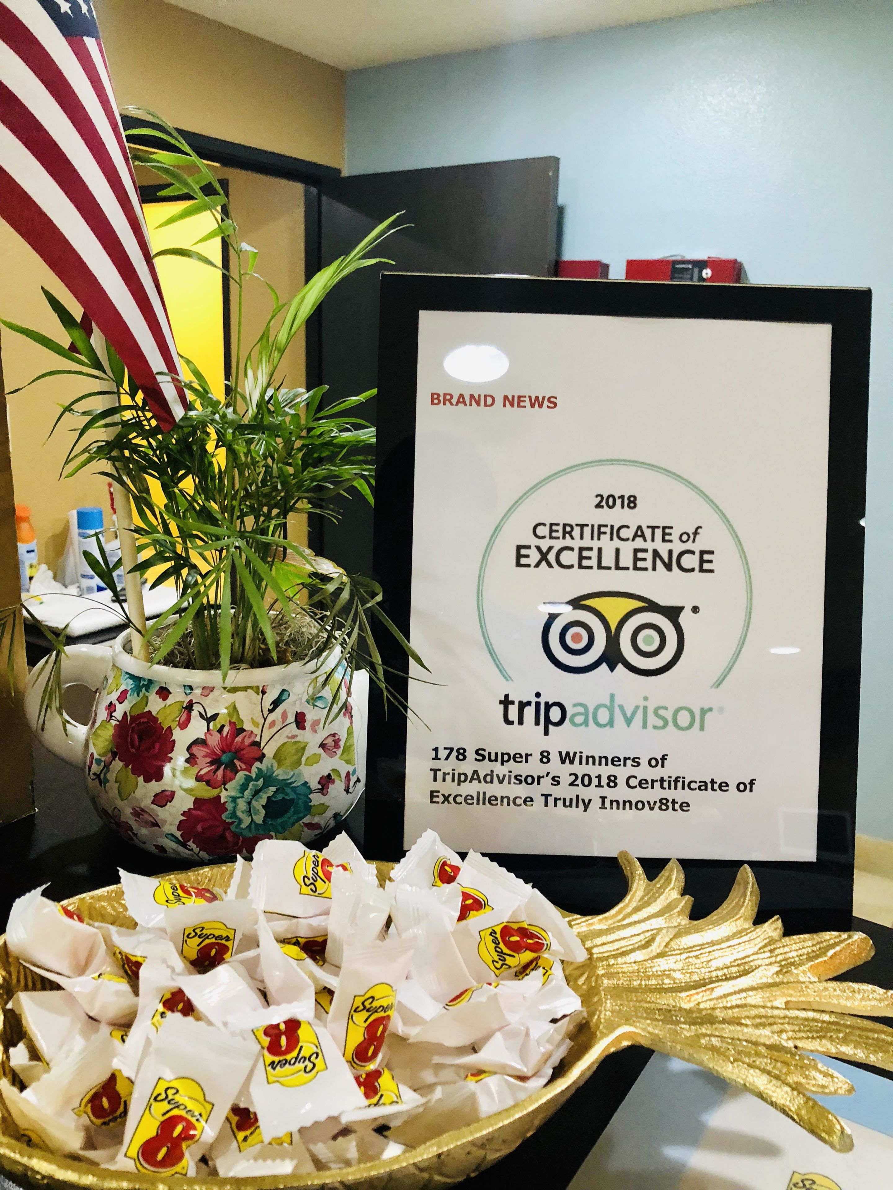 A framed TripAdvisor Excellence Certificate of 2018, a potted plant, and a bowl of 'Super 8' branded snacks.