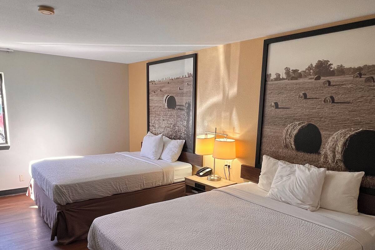 Standard Room, 2 Queen Beds | Desk, iron/ironing board, free cots/infant beds, rollaway beds