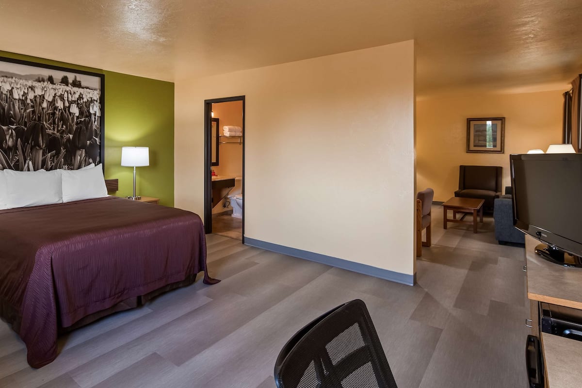 Suite, 1 Queen-Bett, Nichtraucher, Küche (Larger Room;Separate Living Room)