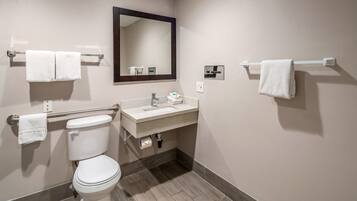Deluxe Room, 1 Queen Bed, Accessible (Smoke Free) | Bathroom | Hydromassage showerhead, free toiletries, hair dryer, towels