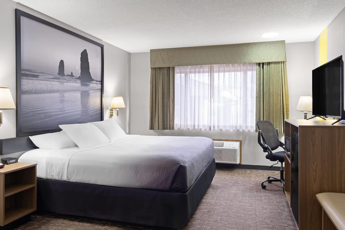 Room, 1 King Bed, Non Smoking | Hypo-allergenic bedding, desk, cribs/infant beds, rollaway beds