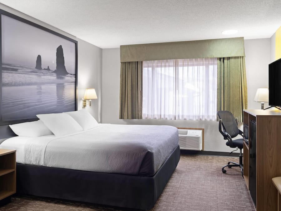 Room, 1 King Bed, Non Smoking | Hypo-allergenic bedding, desk, cribs/infant beds, rollaway beds