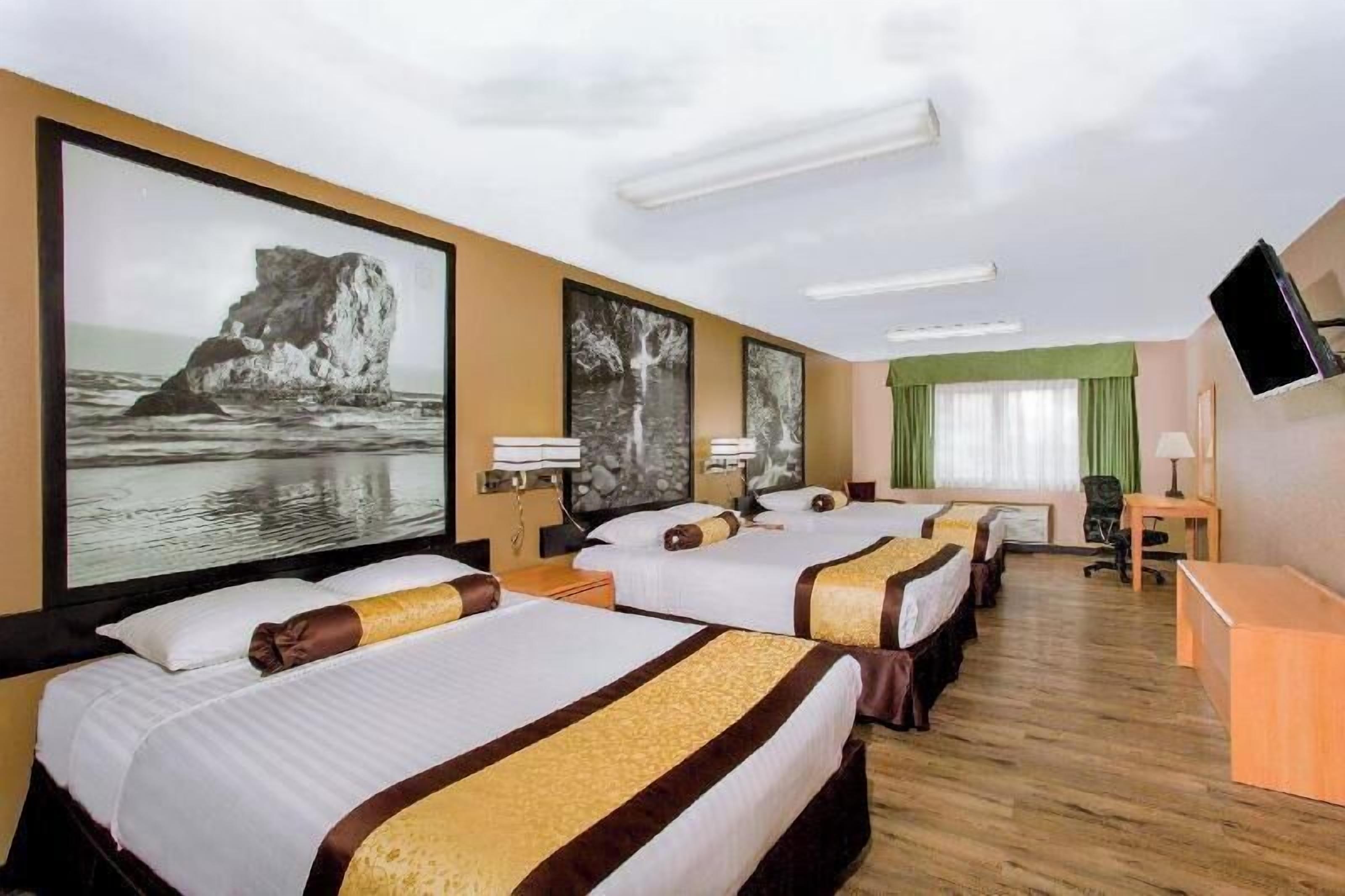 Hypo-allergenic bedding, desk, cots/infant beds, rollaway beds