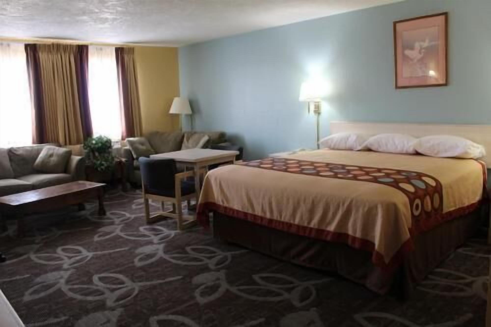 Premium bedding, individually decorated, individually furnished, desk