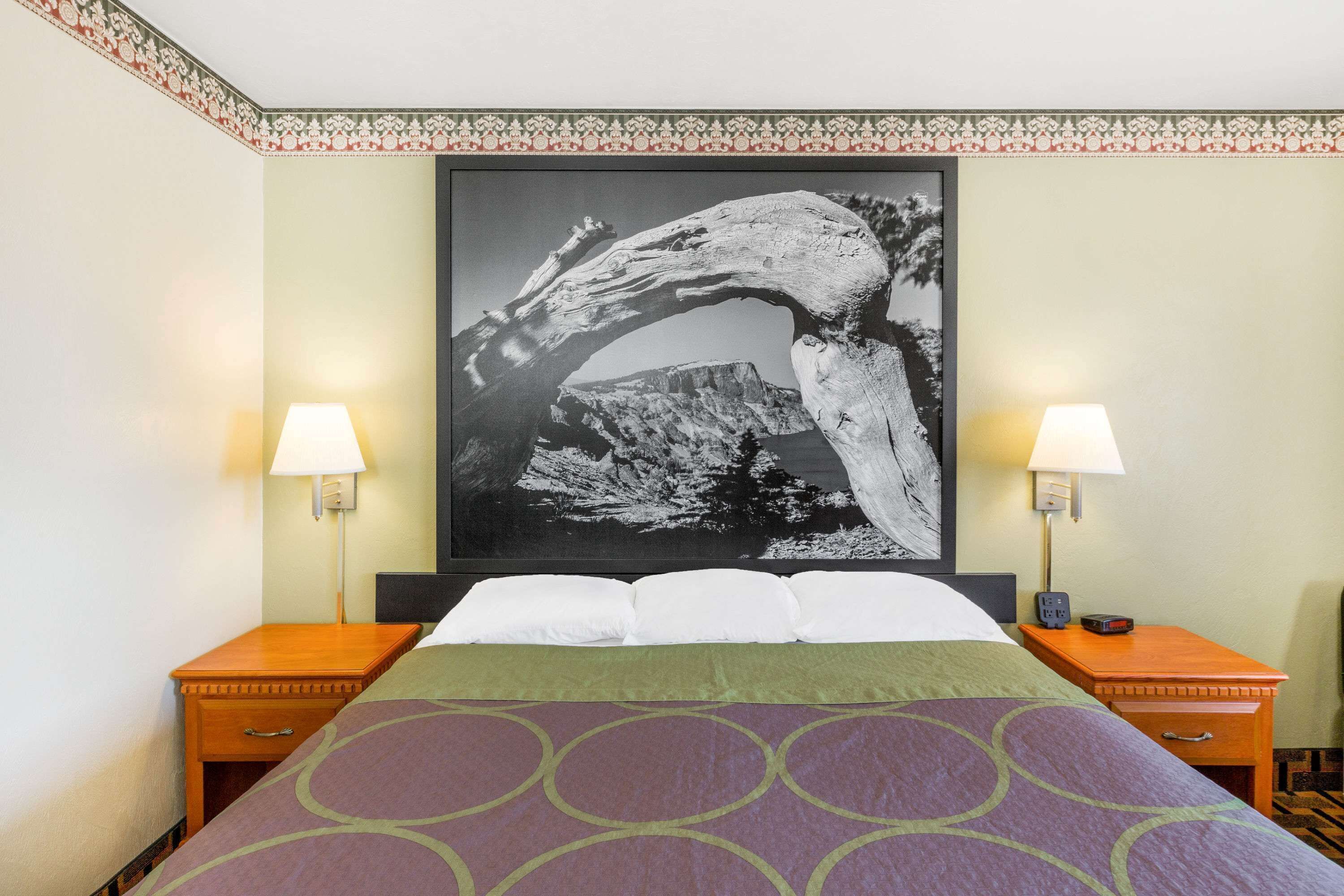 A hotel room with a large bed, two bedside tables with lamps, a framed picture on the wall, and a patterned bedspread.
