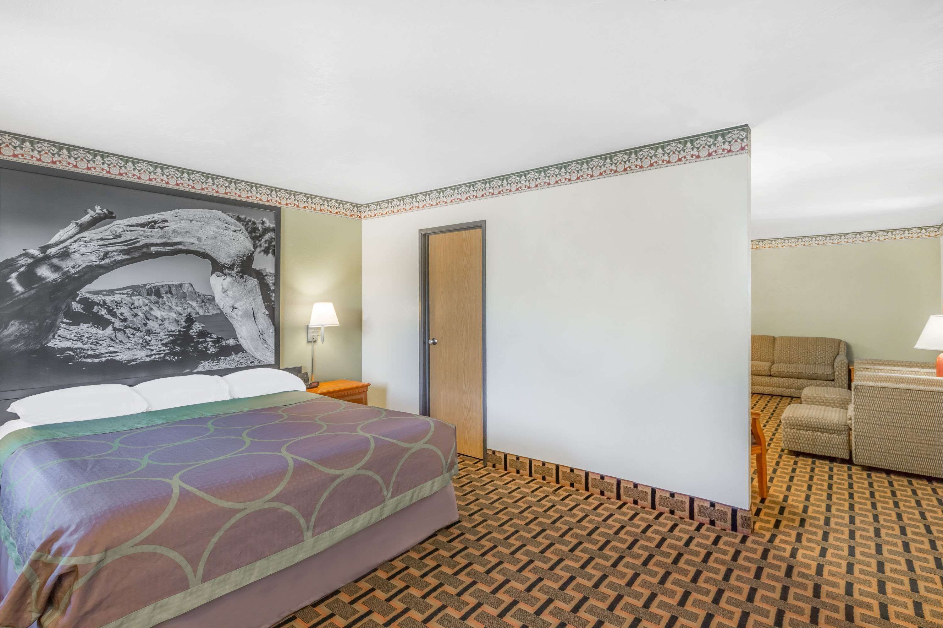Una habitación de hotel con una cama, una puerta, un sofá y una alfombra estampada.