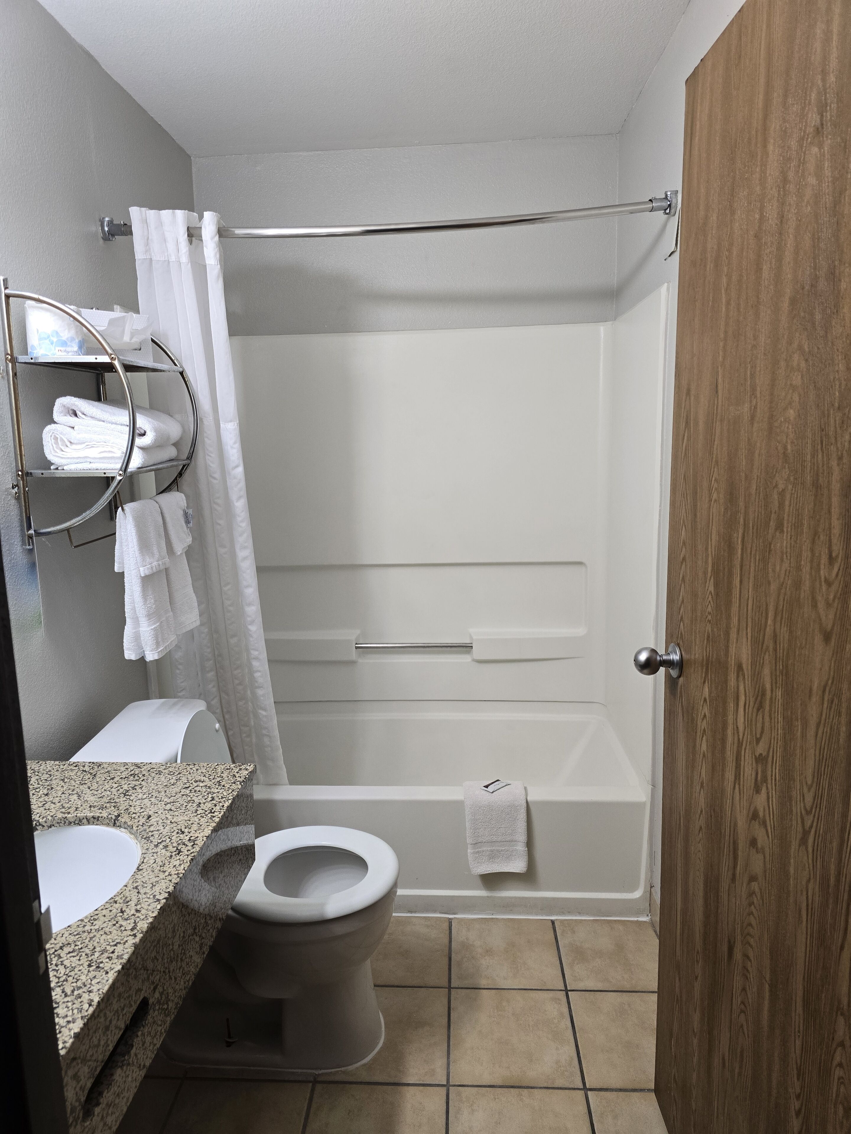 A bathroom with a toilet, a shower, and a sink with a towel rack.