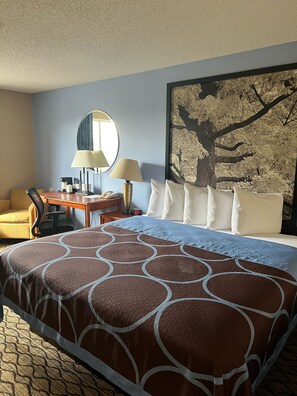 Room, 1 King Bed, Non Smoking | In-room safe, individually furnished, desk, blackout drapes