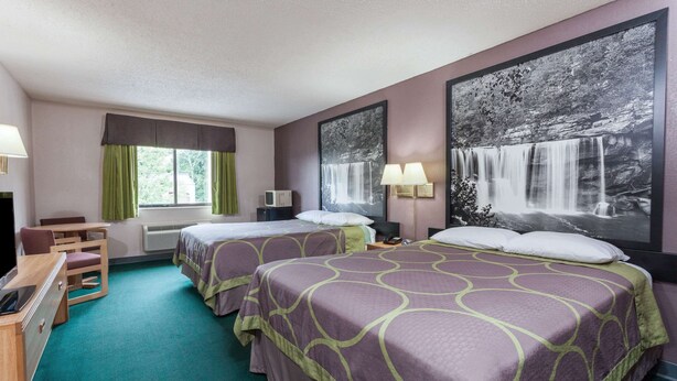 Habitación de hotel con dos camas, un escritorio, una silla, un televisor y un cuadro grande de una cascada en la pared.