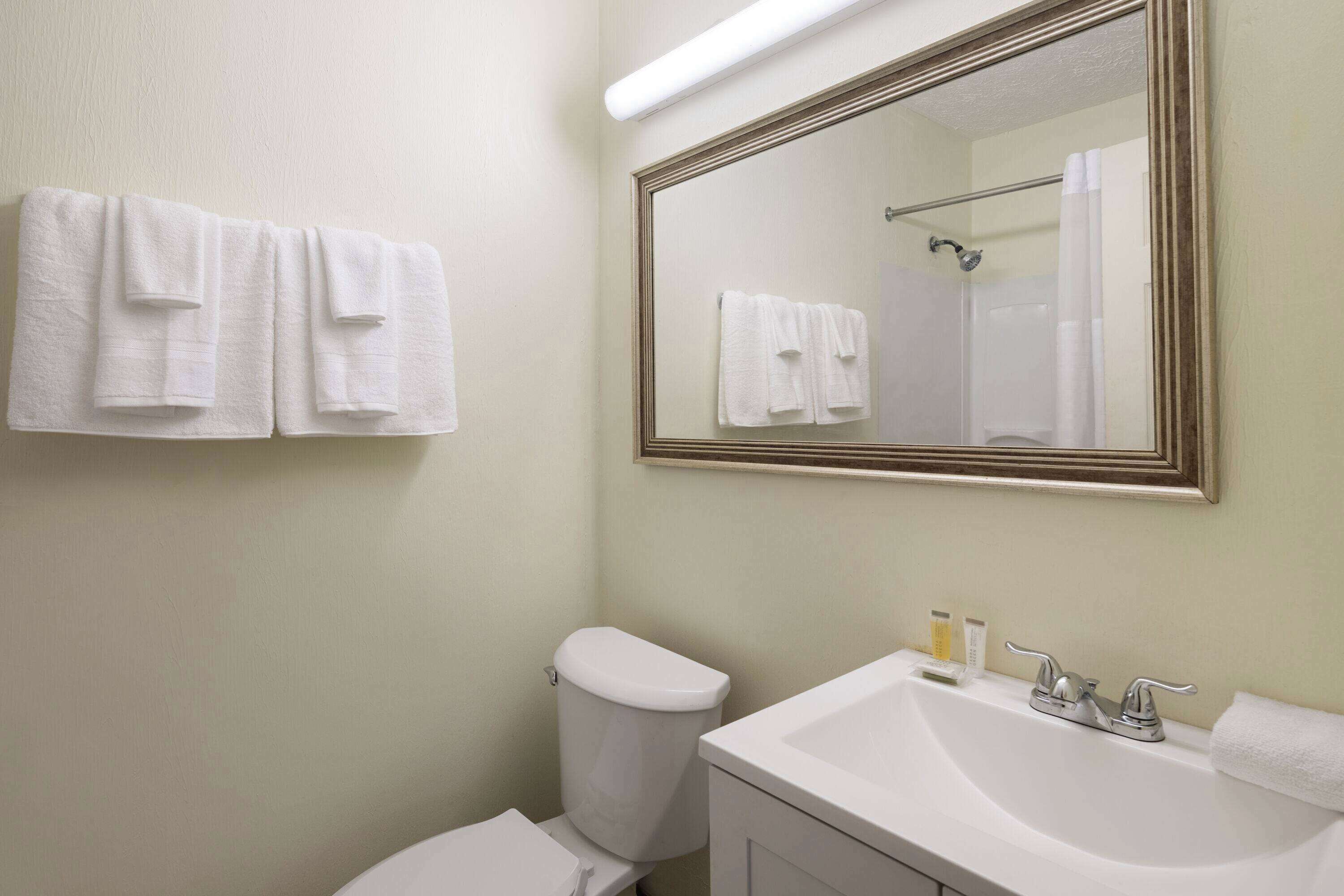 A bathroom with a toilet, sink, and mirror.