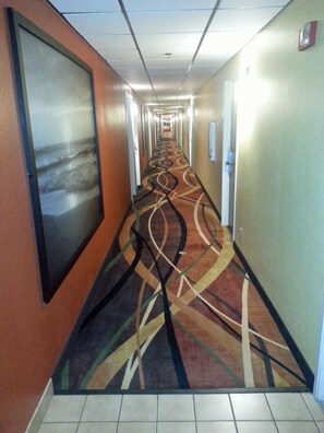 Hallway - Super 8 by Wyndham Brookings (Brookings)