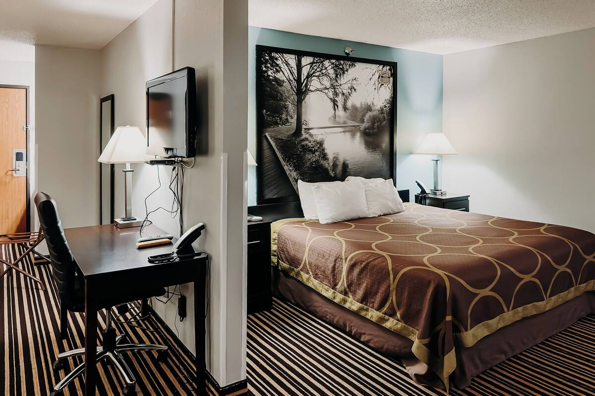A hotel room with a bed, desk, chair, TV, and artwork.