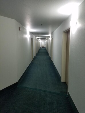 A long, narrow hallway with carpeted floors and white walls, lined with doors on both sides.