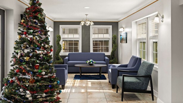 Un salon avec un sapin de Noël, un canapé, deux fauteuils et une table basse.