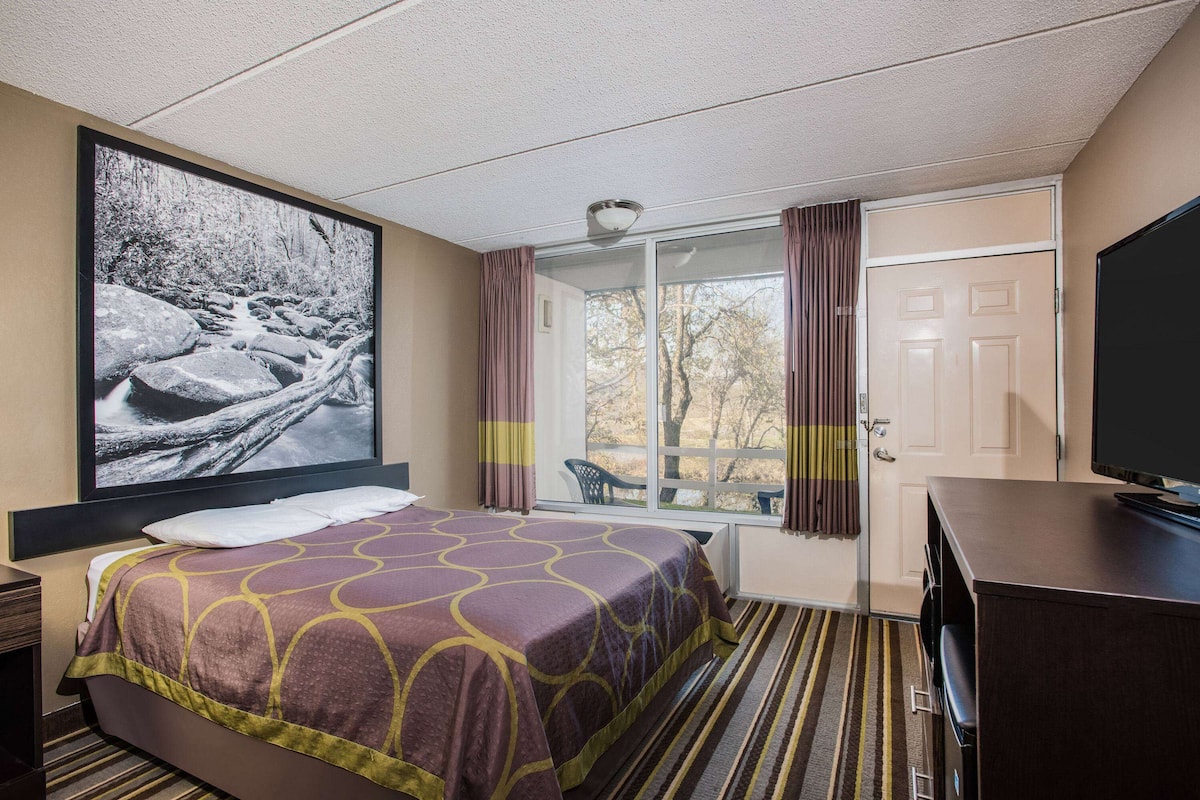 A hotel room with a large bed, a television, a window with curtains, and a view of trees outside.