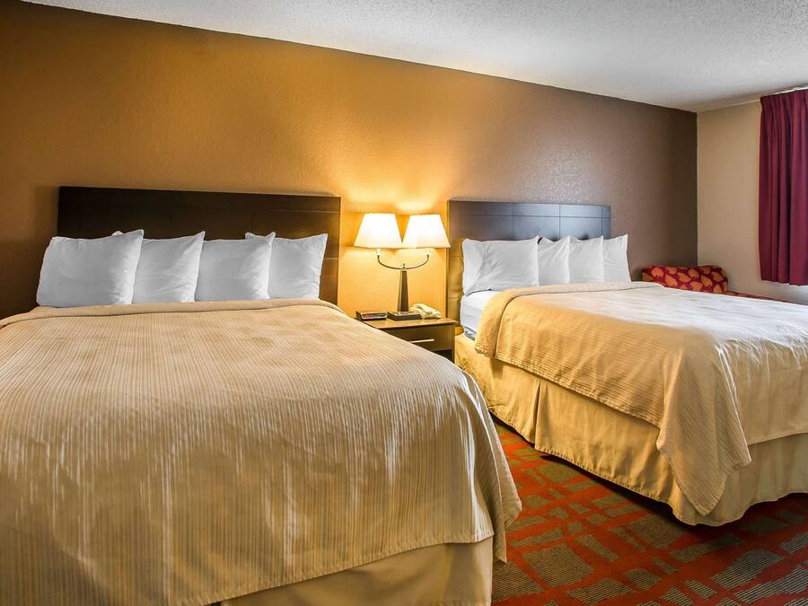 A hotel room with two beds, a nightstand with a lamp, and a patterned carpet.