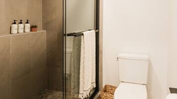 A modern bathroom with a glass-enclosed shower, a toilet, and a bathtub.