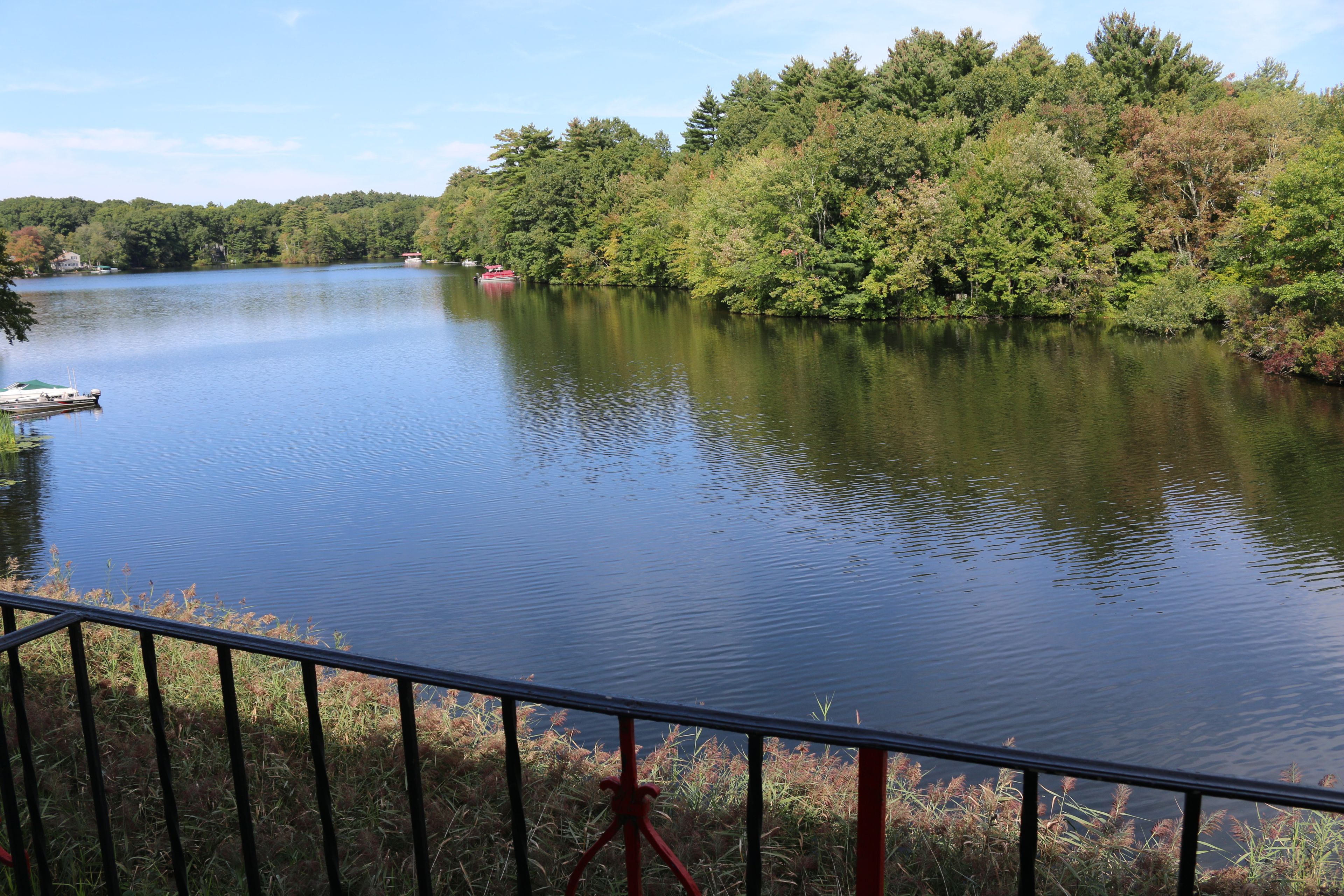 Un lago tranquilo con un embarcadero y un bote, rodeado de árboles frondosos.