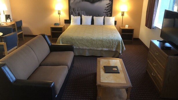 Une chambre d’hôtel avec un lit, un canapé, une télévision et un bureau.