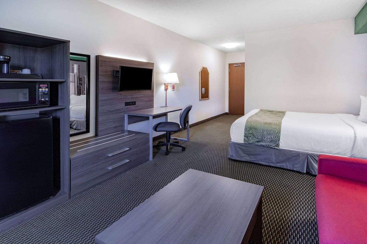 Une chambre d’hôtel équipée d’un lit, d’un bureau, d’une chaise et d’un four à micro-ondes.