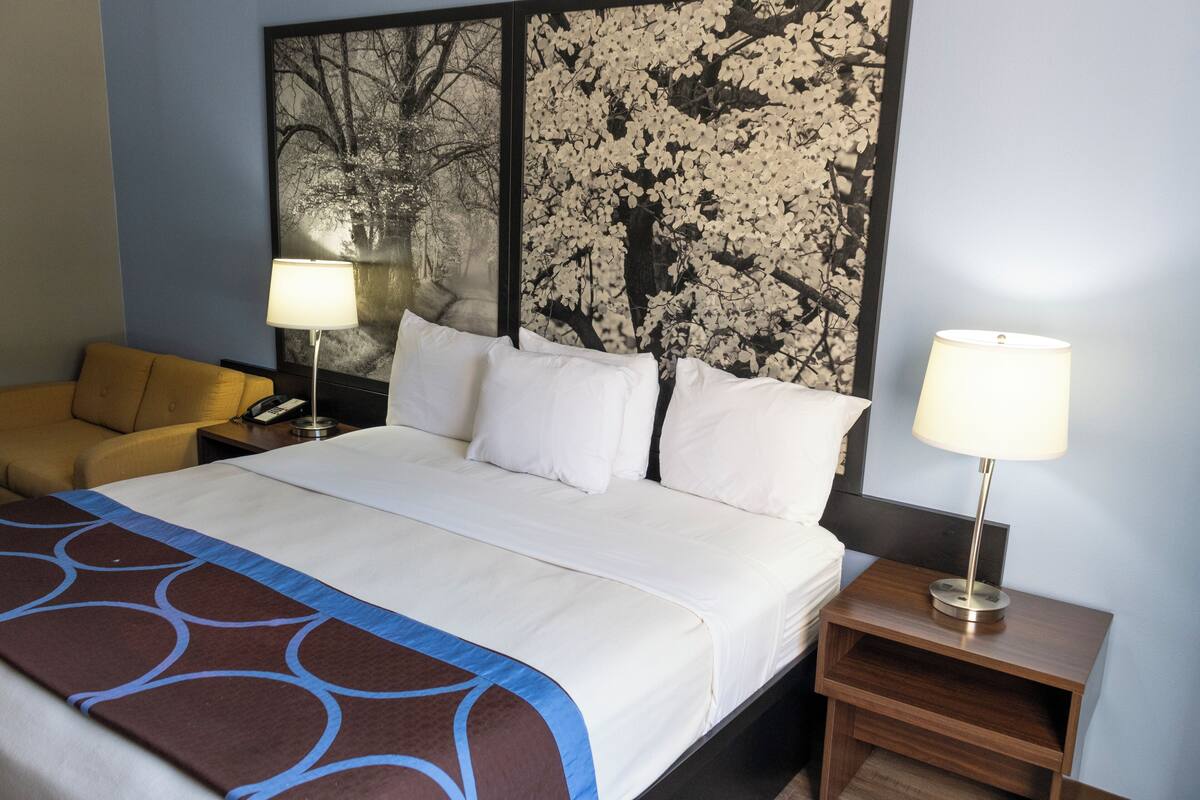 Habitación de hotel con una cama grande, dos mesitas de noche, un sofá y una pared decorada con una obra de arte floral.