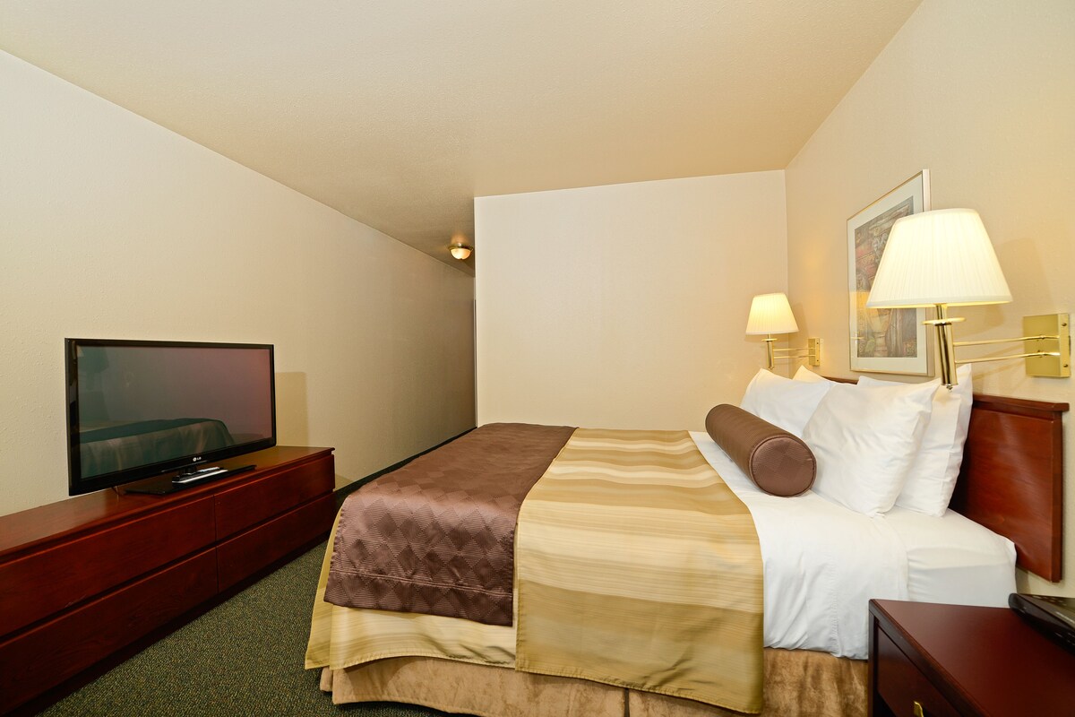 Habitación de hotel con cama, televisor en una cómoda de madera, dos lámparas de noche y un cuadro en la pared.