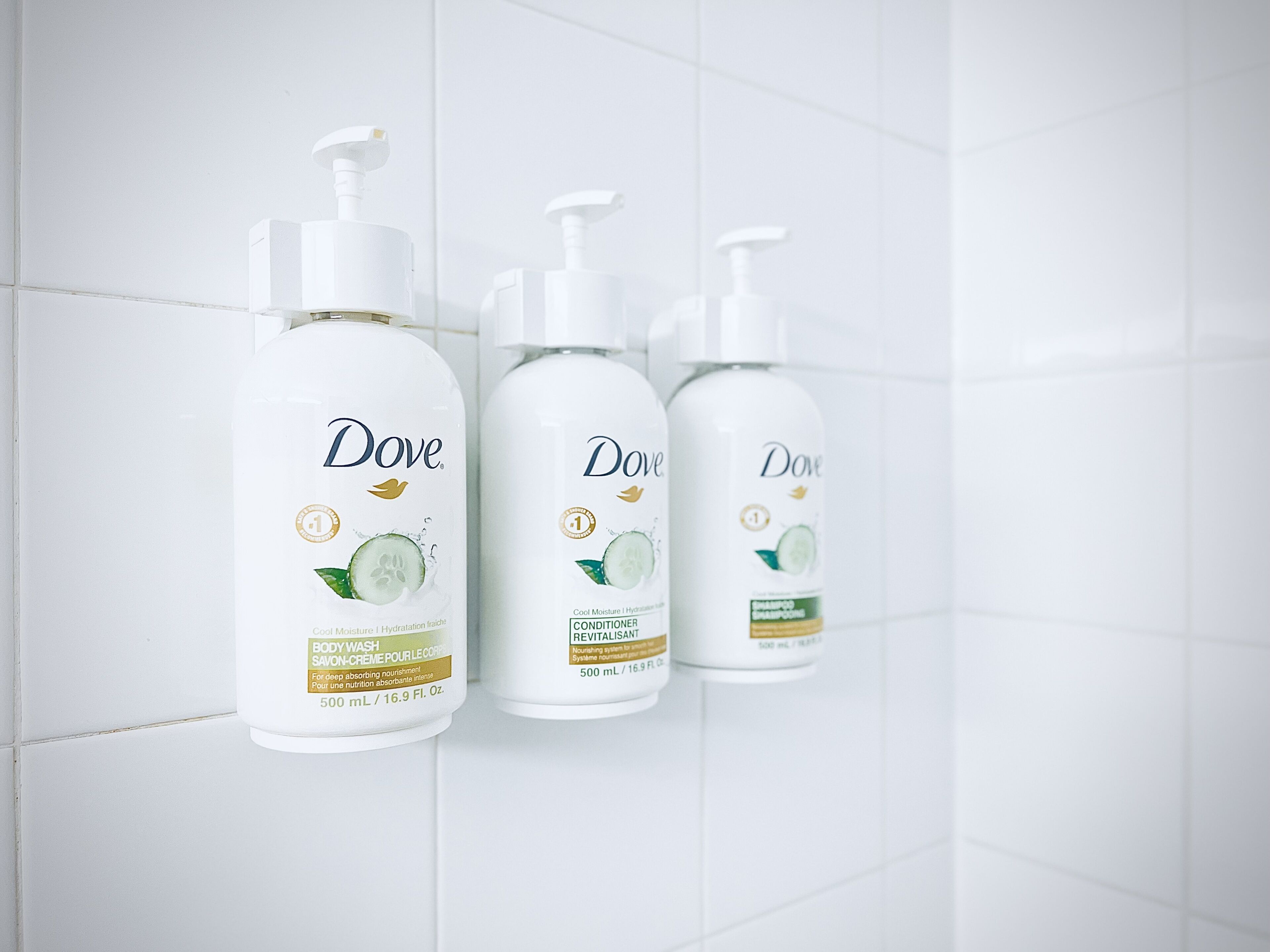 Foto - Super 8 by Wyndham Calgary Shawnessy Area