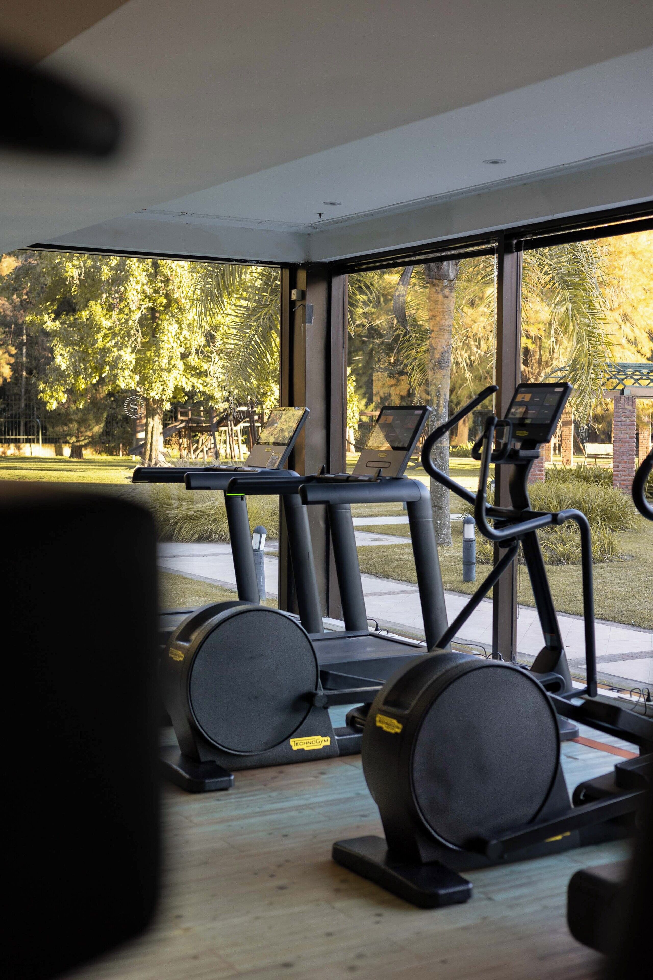 A gym with treadmills and stationary bikes, large windows with a view of a park.