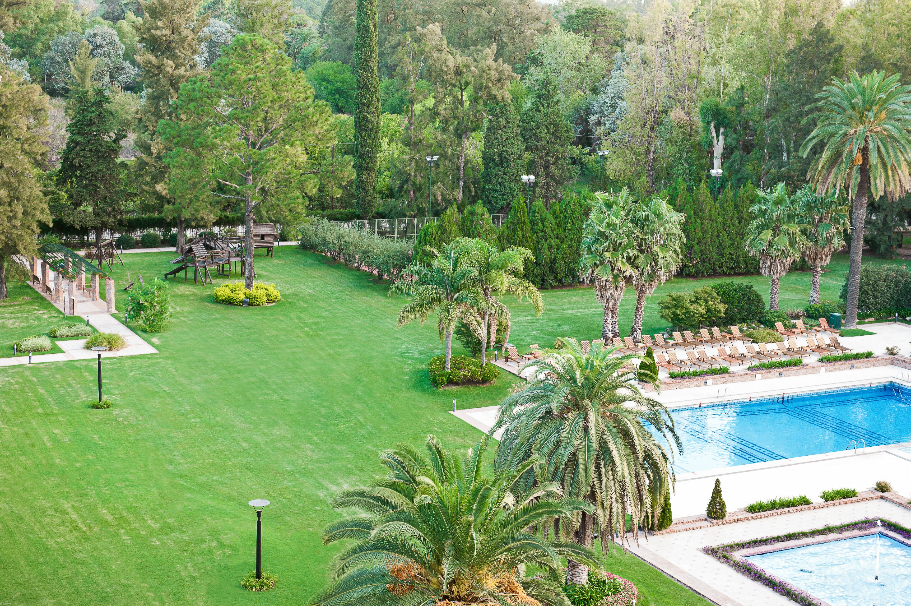 A well-maintained garden with a swimming pool, surrounded by palm trees and various shrubs.