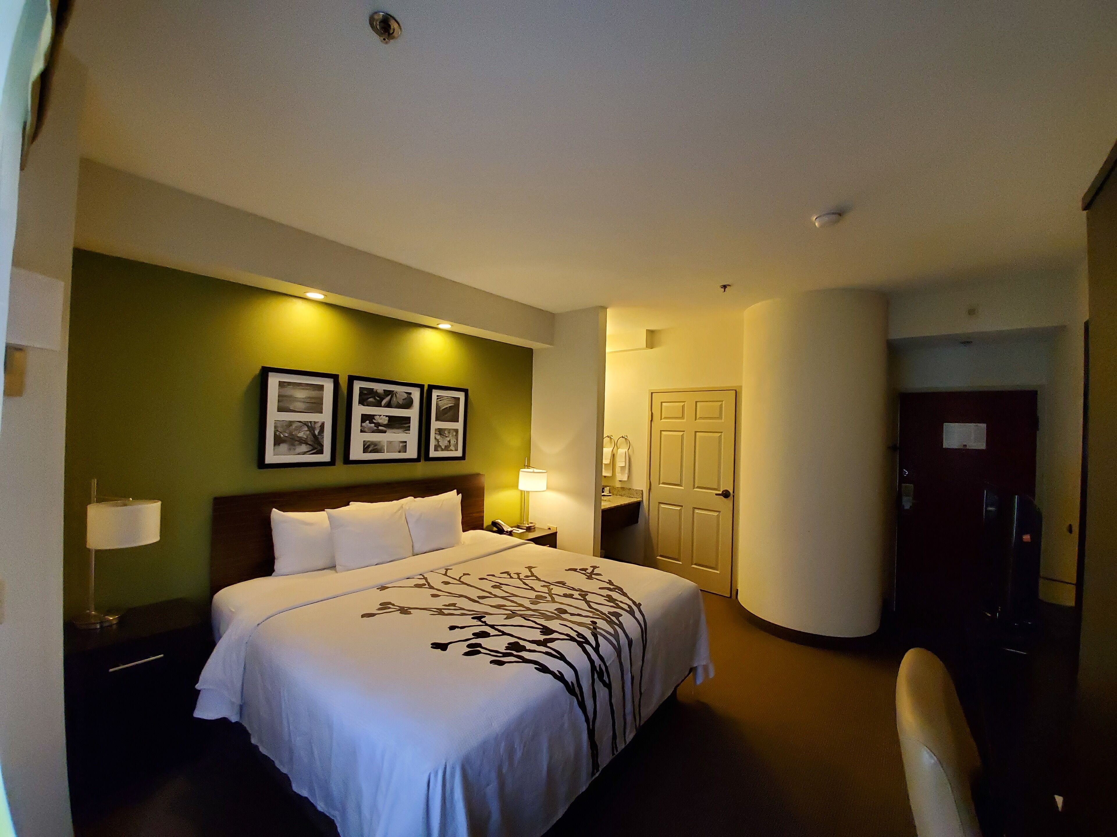 Foto - Sleep Inn Richmond North