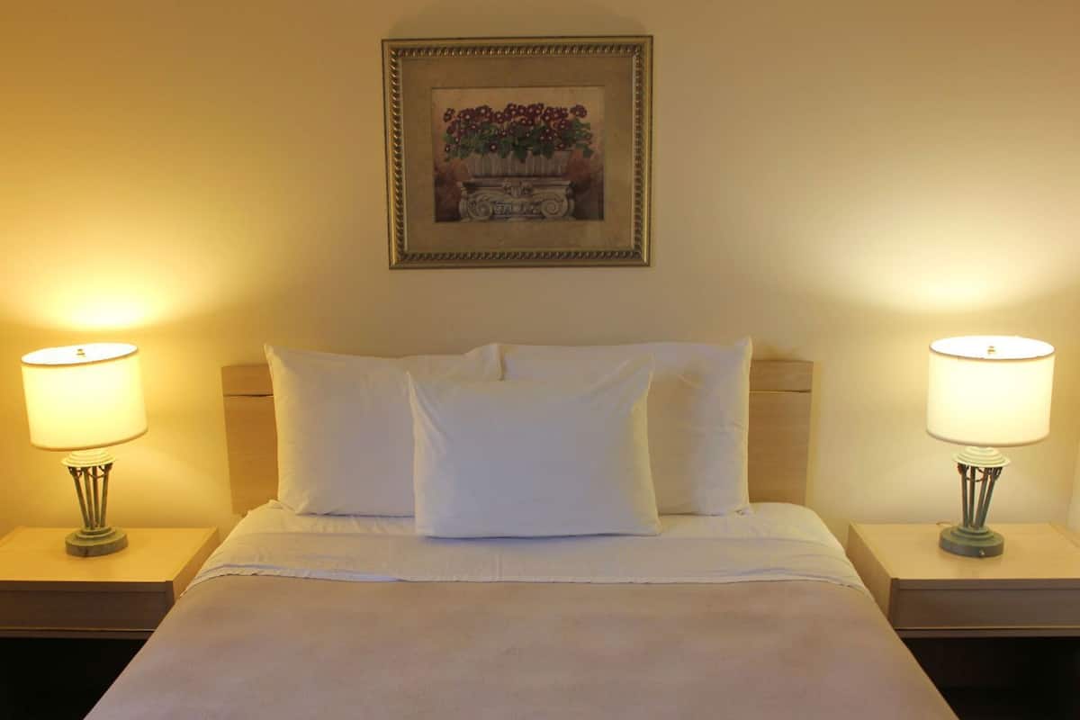 Quarto de hotel com uma cama, duas luminárias de cabeceira, um quadro na parede e uma mesa de cabeceira.