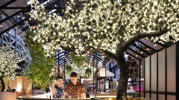 A reception area with a large tree adorned with lights, a modern reception desk, and a high ceiling with skylights. - Ovolo Sydney Woolloomooloo, a Wyndham Hotel (Woolloomooloo)