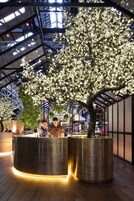 酒吧（店内）