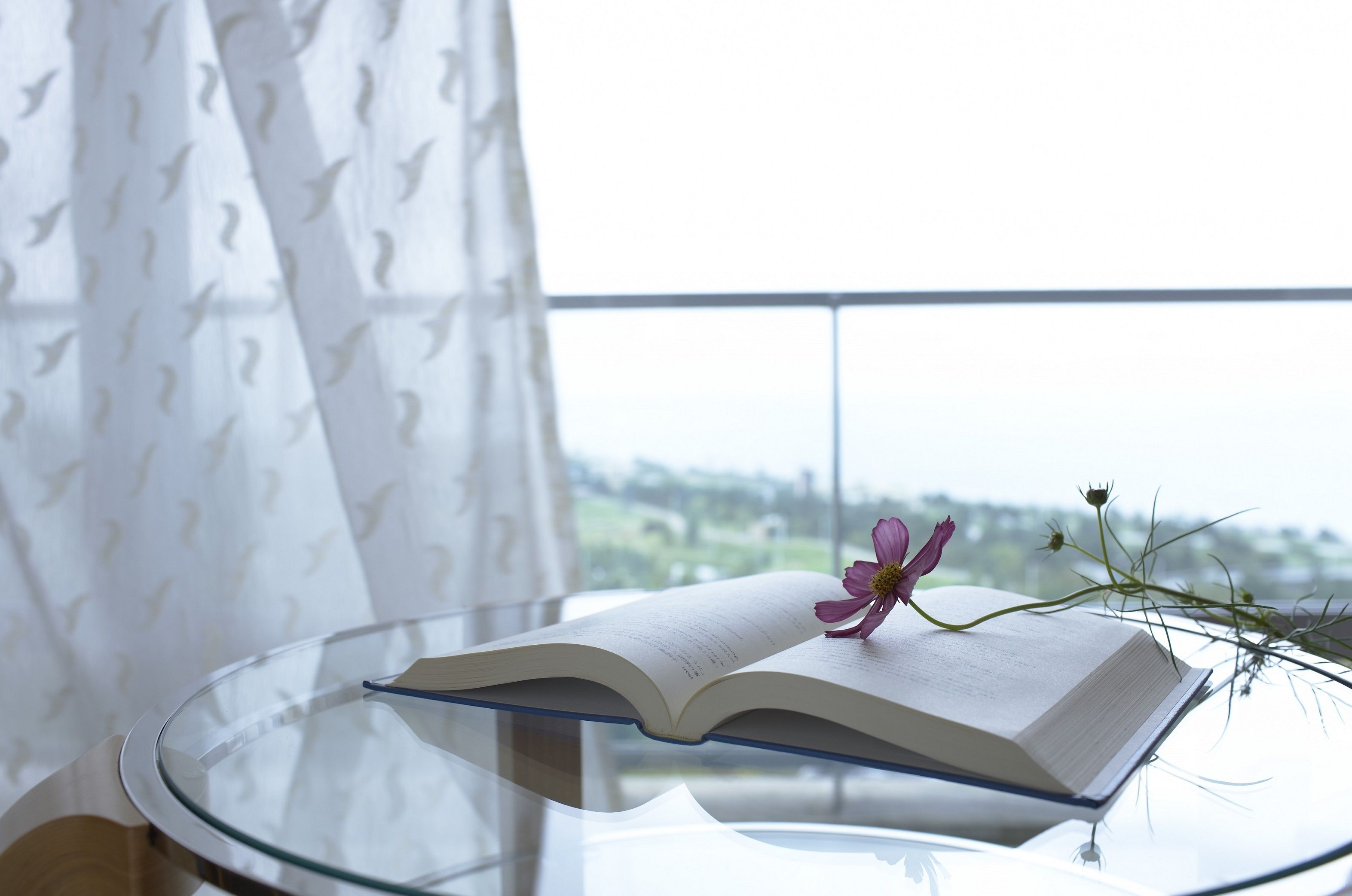 An open book on a glass table with a flower on top, near a window with a view of greenery.