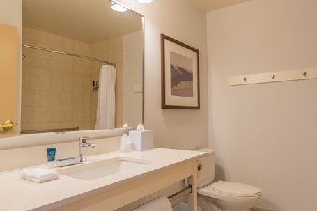 Lakeview Signature, Trademark Collection by Wyndham - Image 24