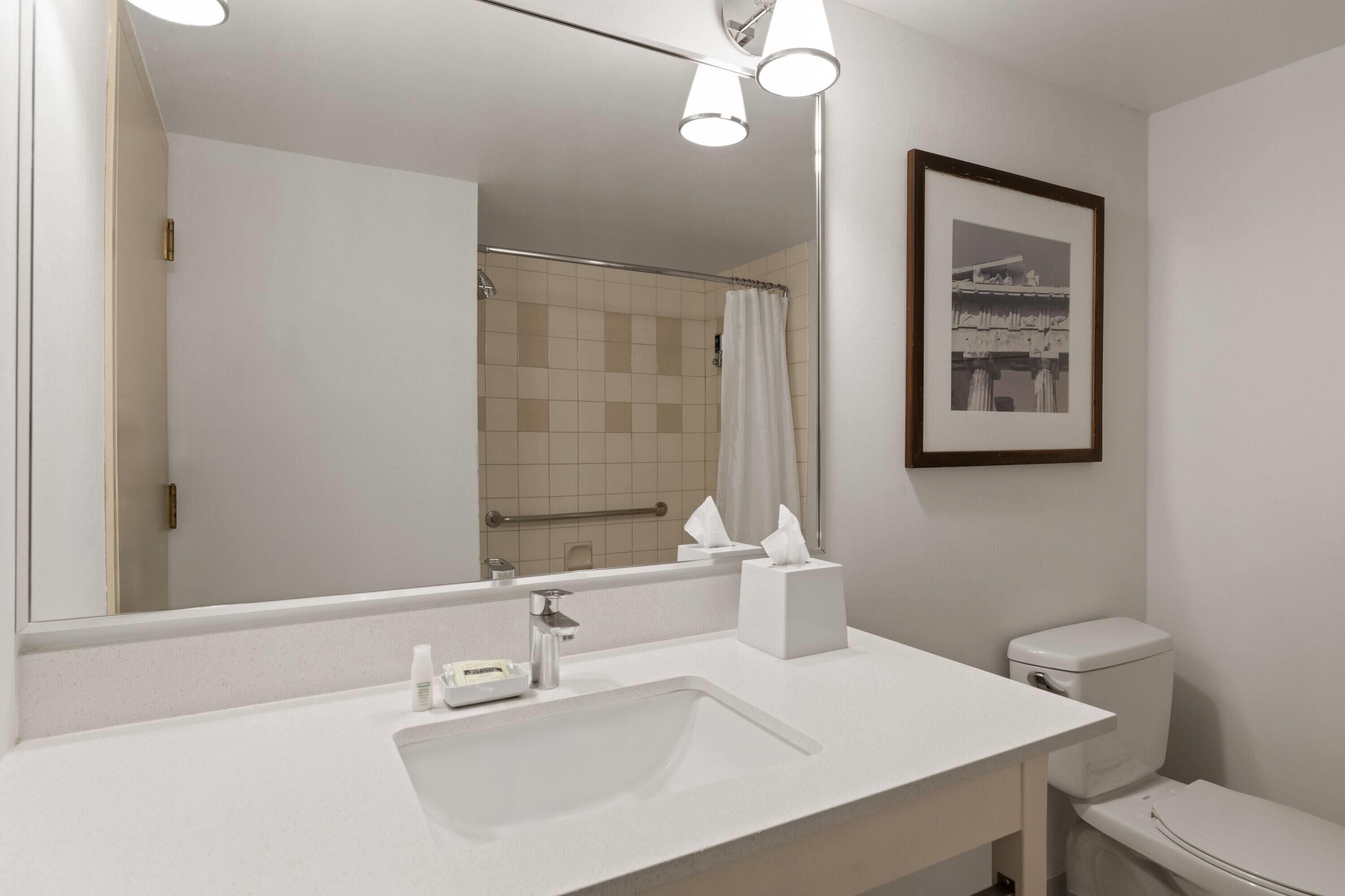 A bathroom with a white sink, a mirror, a framed picture on the wall, and a toilet.