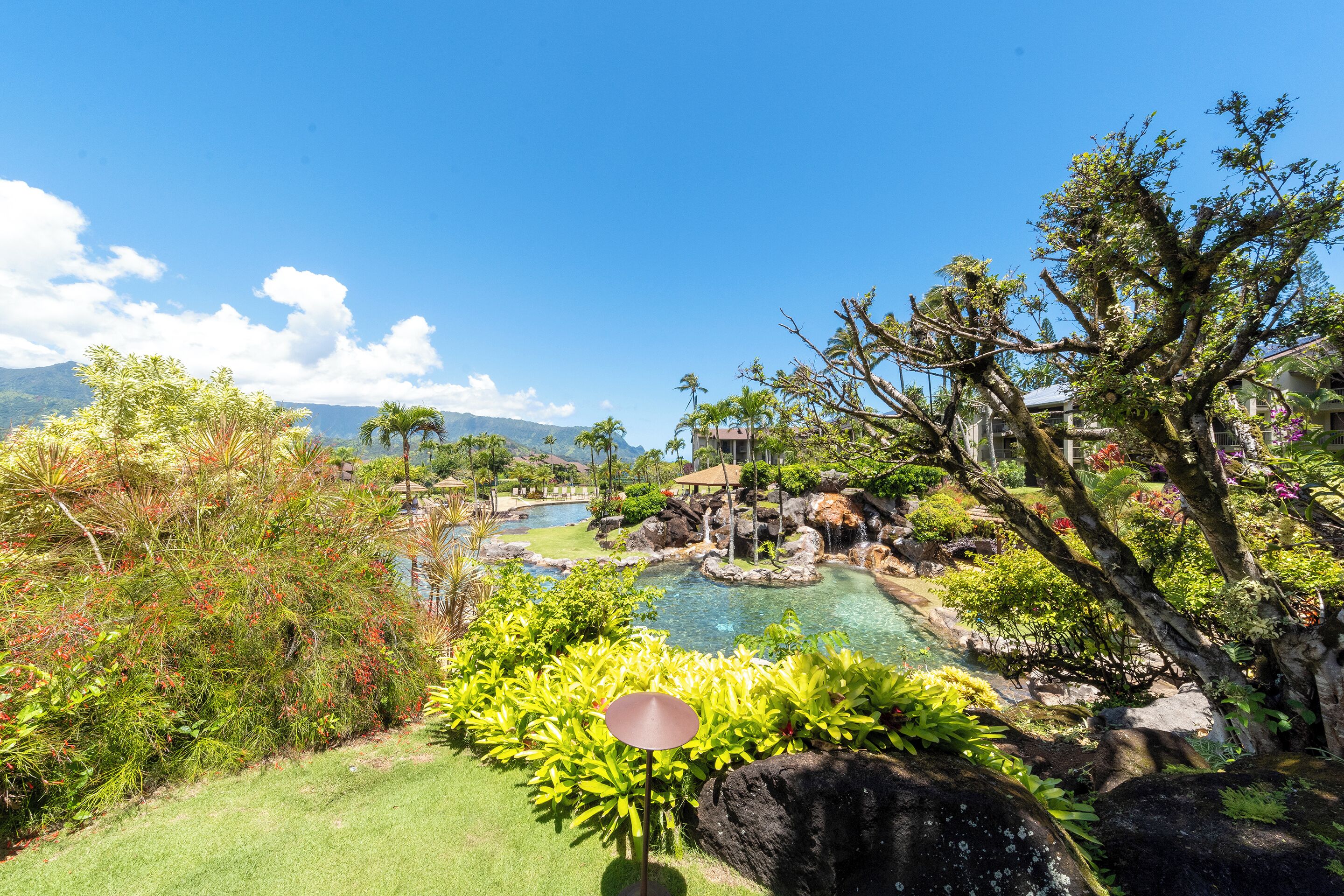 A lush garden with a pool, tropical plants, and a view of distant mountains.
