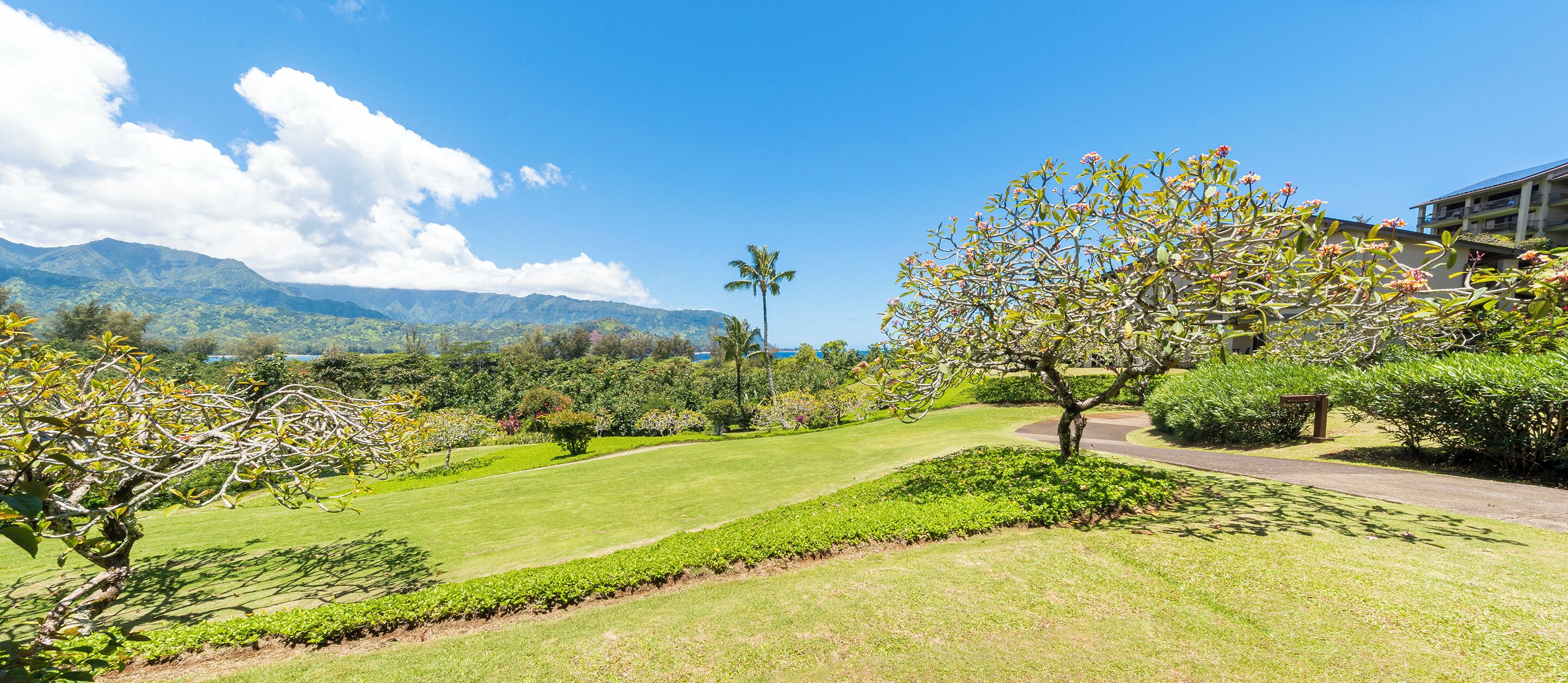 A well-maintained garden with a variety of trees and shrubs, a clear sky, and distant mountains.