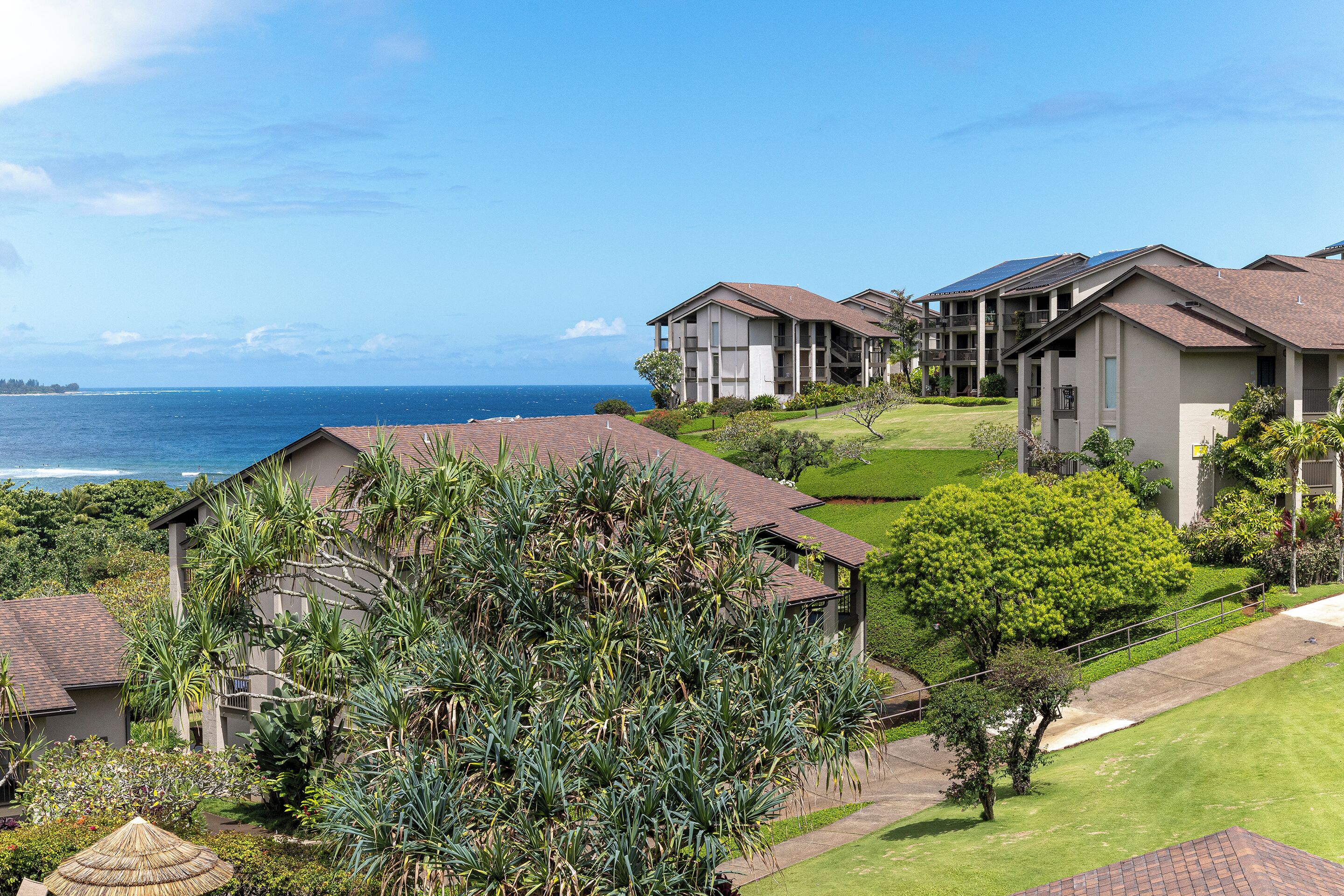 A coastal residential area with multiple houses, a grassy lawn, and a view of the ocean.