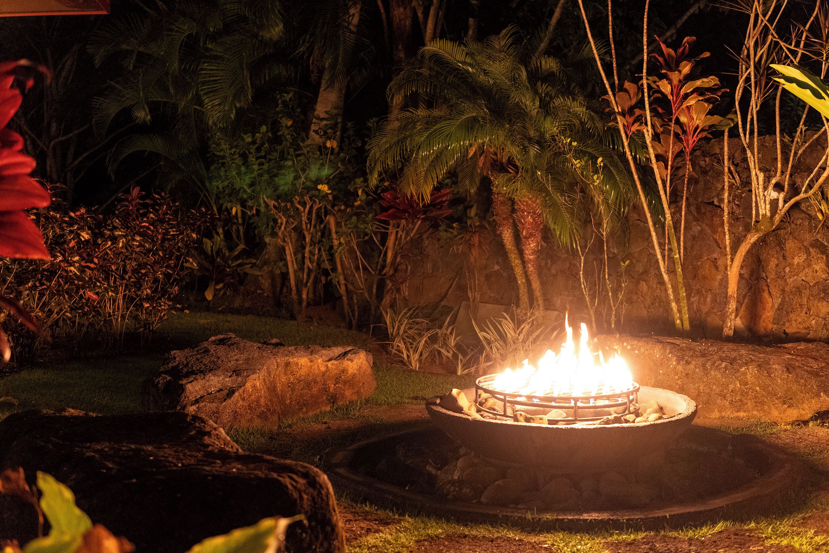 A fire pit surrounded by rocks and tropical plants in a garden setting.