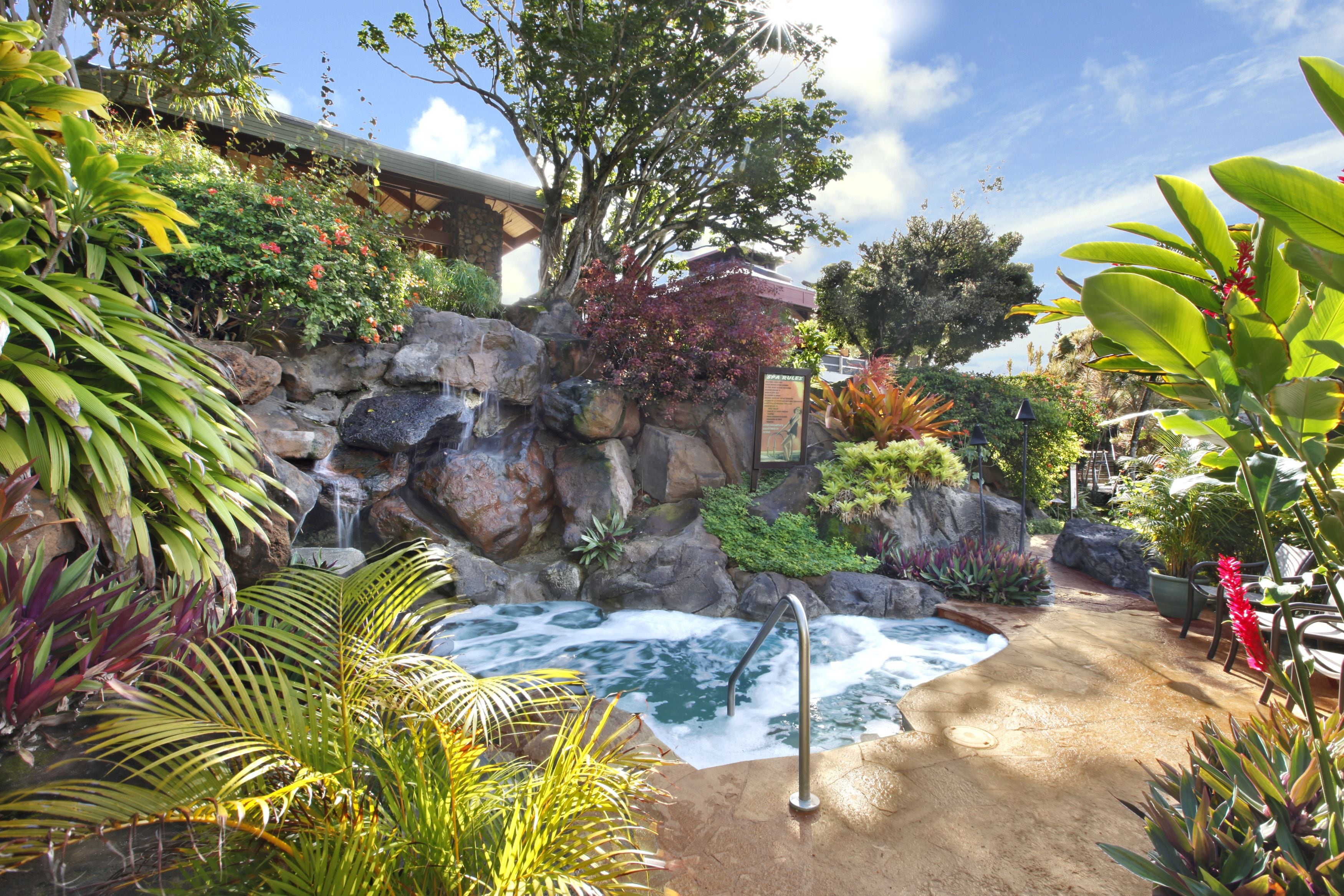 A hot spring area with a waterfall, surrounded by tropical plants and a stone wall.