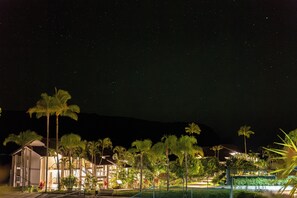 A resort with a pool, palm trees, and a night sky.