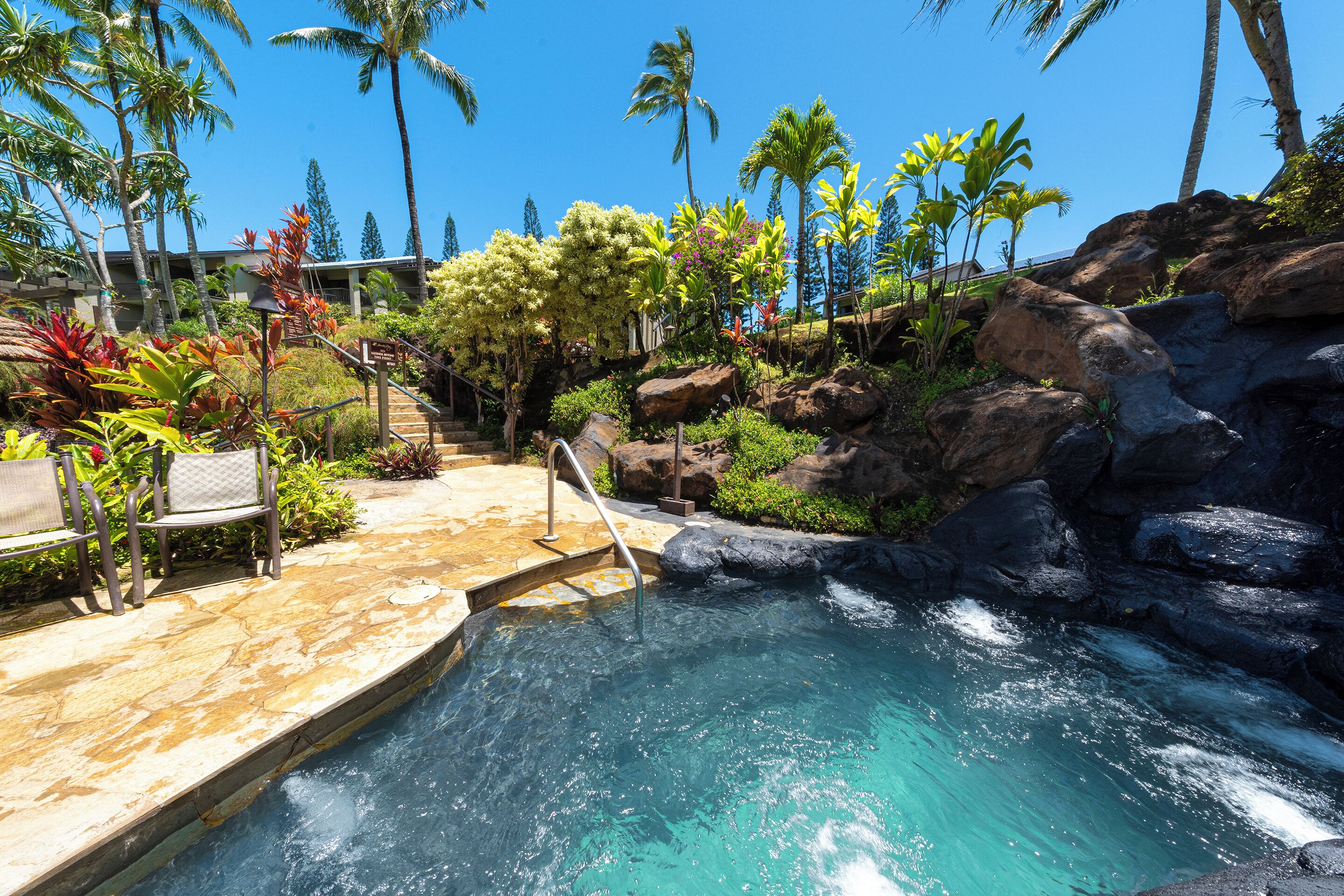 A swimming pool with a stone deck, surrounded by tropical plants and palm trees.