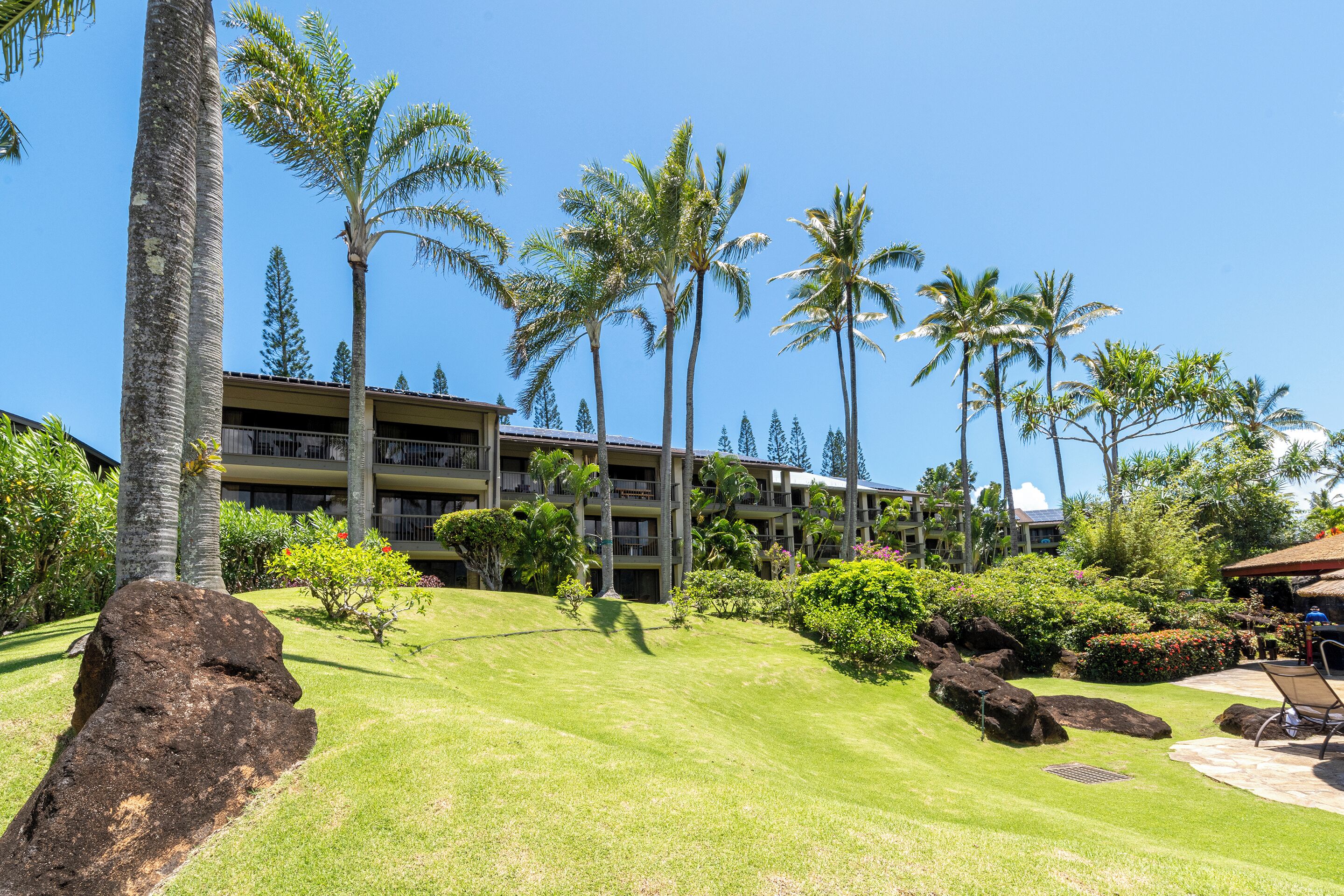 Un resort con un césped cuidado, palmeras y un edificio con varios balcones.