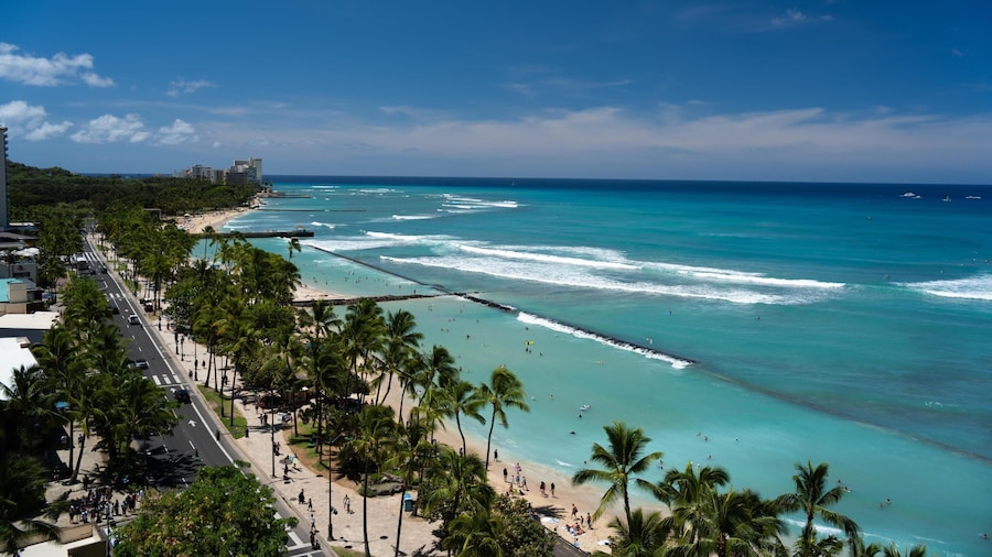 Aqua Aloha Surf Waikiki