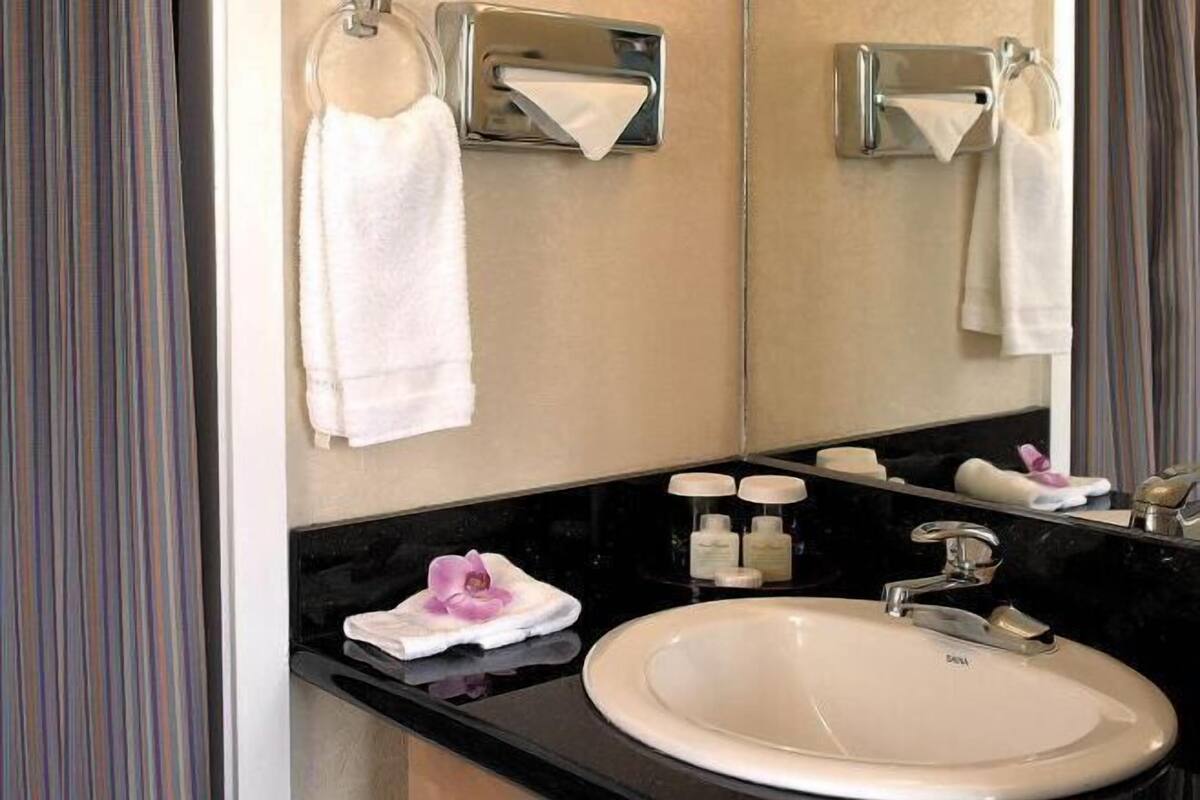 Milieuvriendelijke toiletartikelen, een haardroger, handdoeken, zeep
