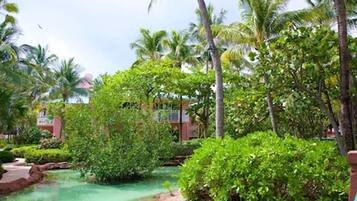 Garden Room | View from room