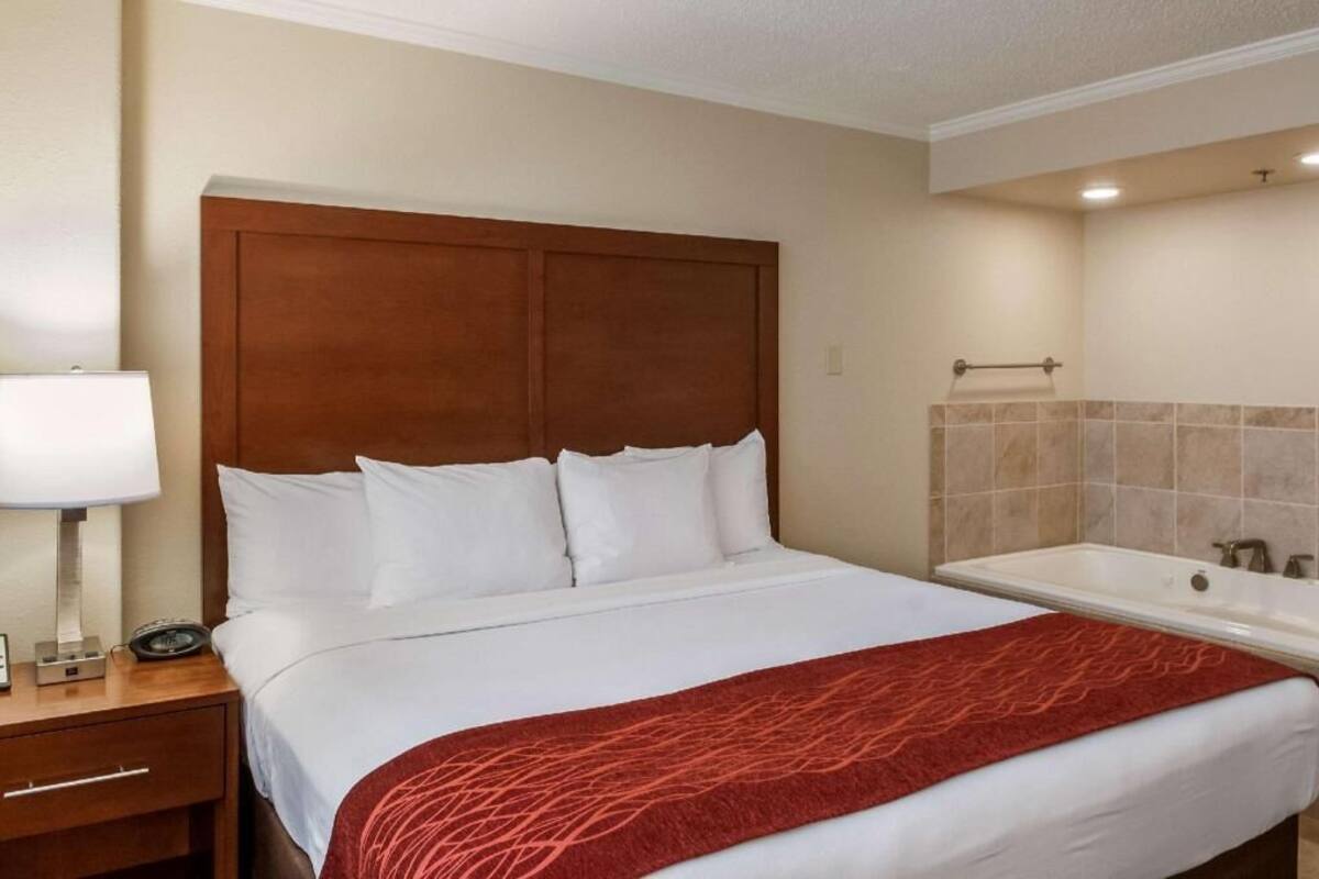 A hotel room with a large bed, a nightstand with a lamp, a red throw blanket, and a bathroom with a bathtub.
