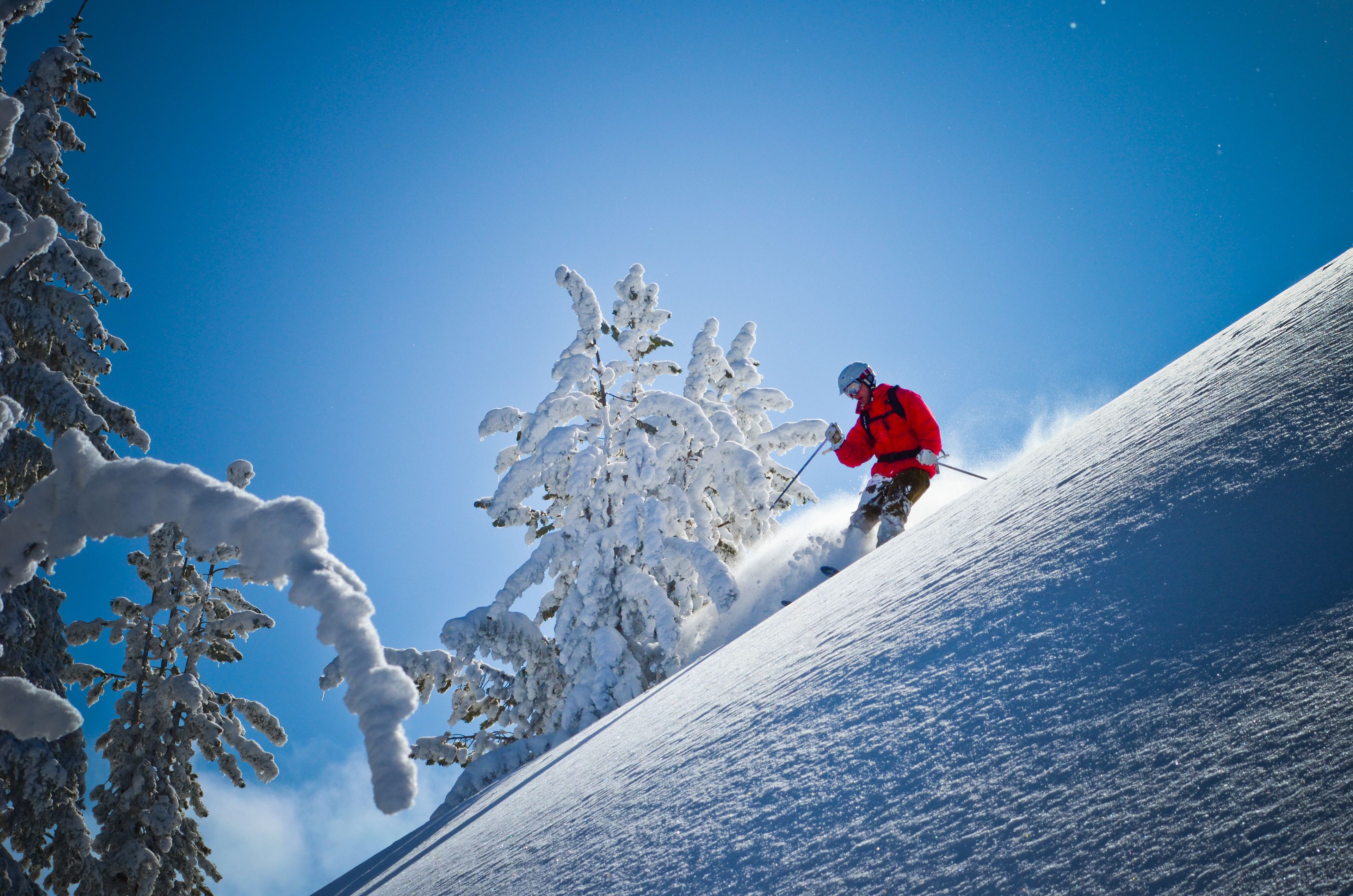 Una persona esquía por una pendiente nevada, rodeada de árboles cubiertos de nieve y un cielo azul despejado.